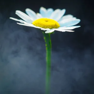 All by Myself and Loving it