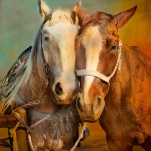 Best Friends Forever