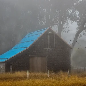 Home Mendocino Blue Roof Barn