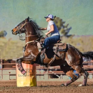 Barrel Racer 2