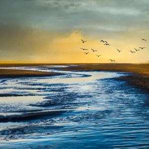 Fort Stevens Low Tide at Sunset