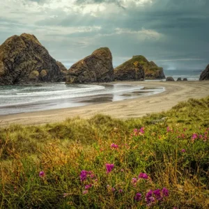 Sea Stacks at Gold's Beach, Oregon