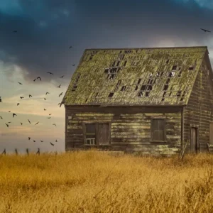 Home This Old House in Mendocino