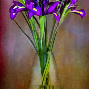 Purple Iris Bouquet