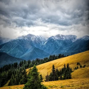 Hurricane Ridge