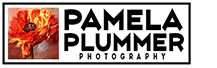 pamela plummer logo small final