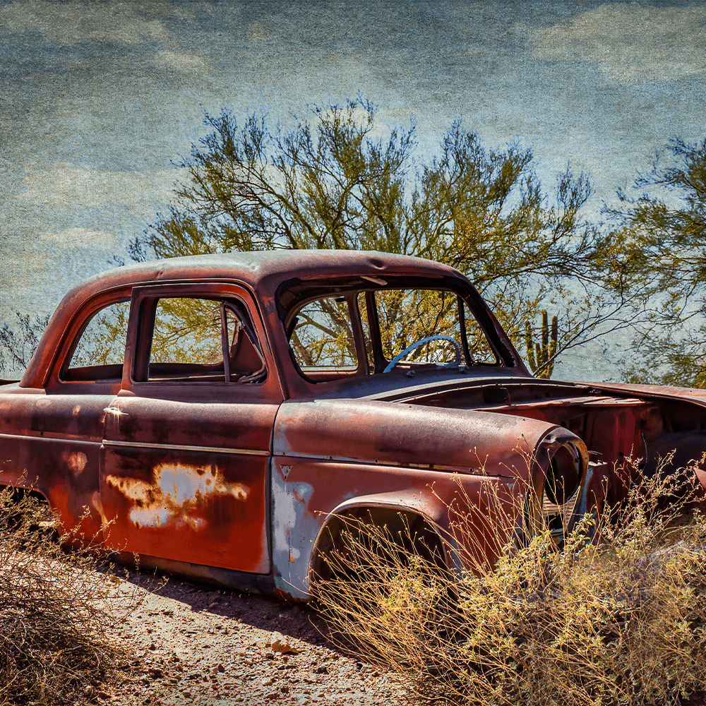 Pamela Plummer Cars