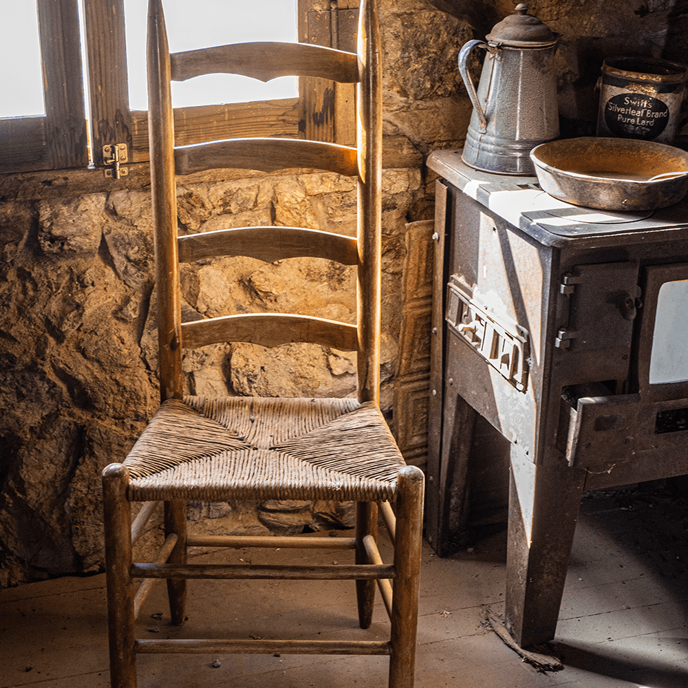 Pamela Plummer Still Life